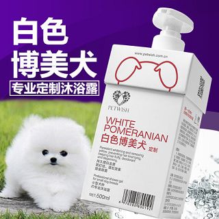 寵物清潔全攻略 從除臭消毒到芬芳留香，打造清新愛寵空間