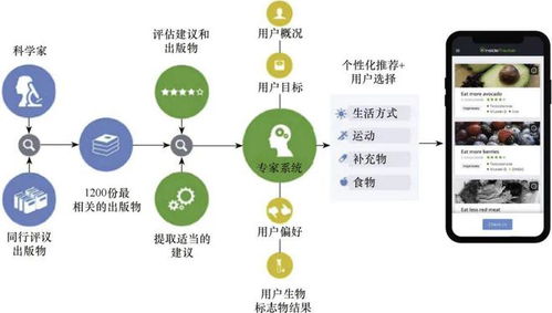 吃飽吃好吃健康 科學(xué) 新書 食品精準(zhǔn)營養(yǎng)