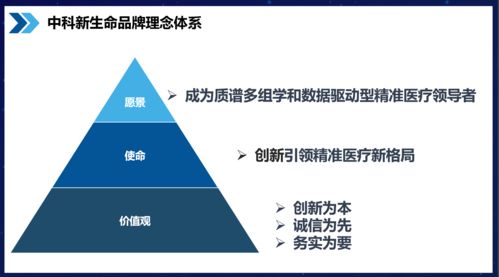 知名品牌咨詢公司行舟品牌服務(wù)模塊解析 品牌核心理念介紹